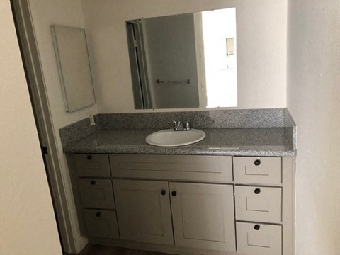 a bathroom with a sink and a mirror