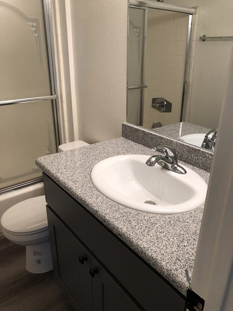 a bathroom with a sink and a toilet and a shower