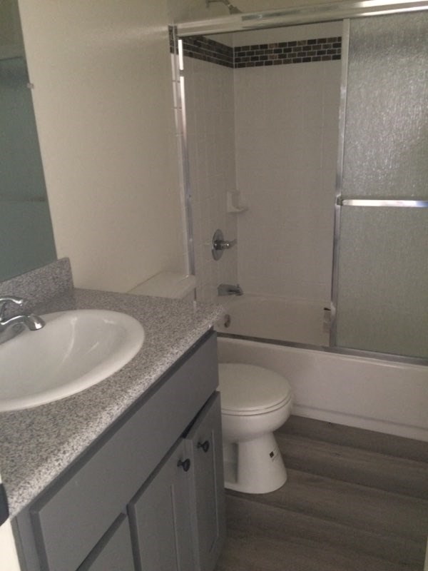 a bathroom with a sink and a toilet and a shower