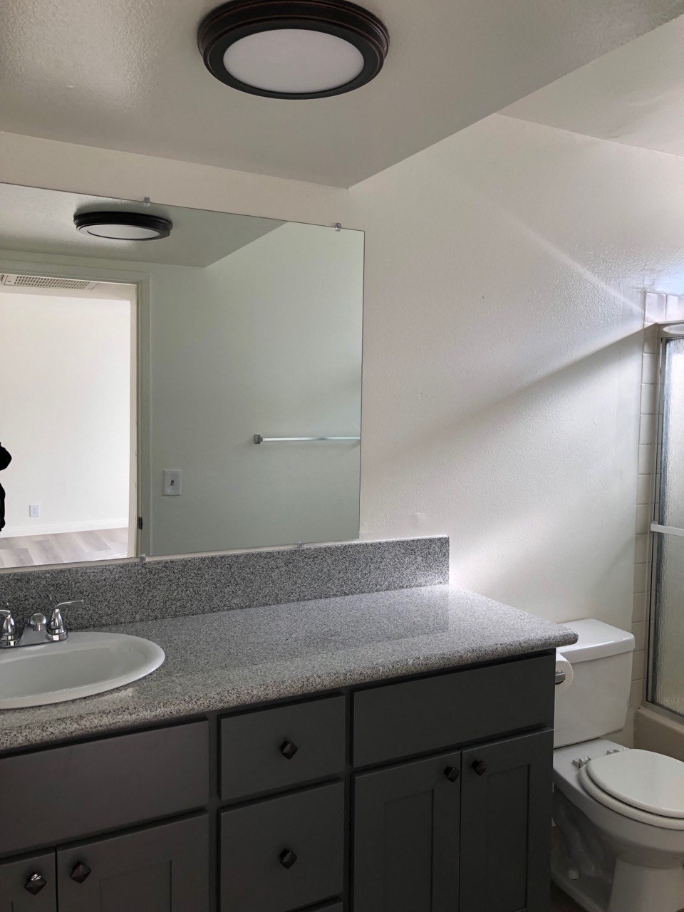 a bathroom with a sink and a toilet and a mirror