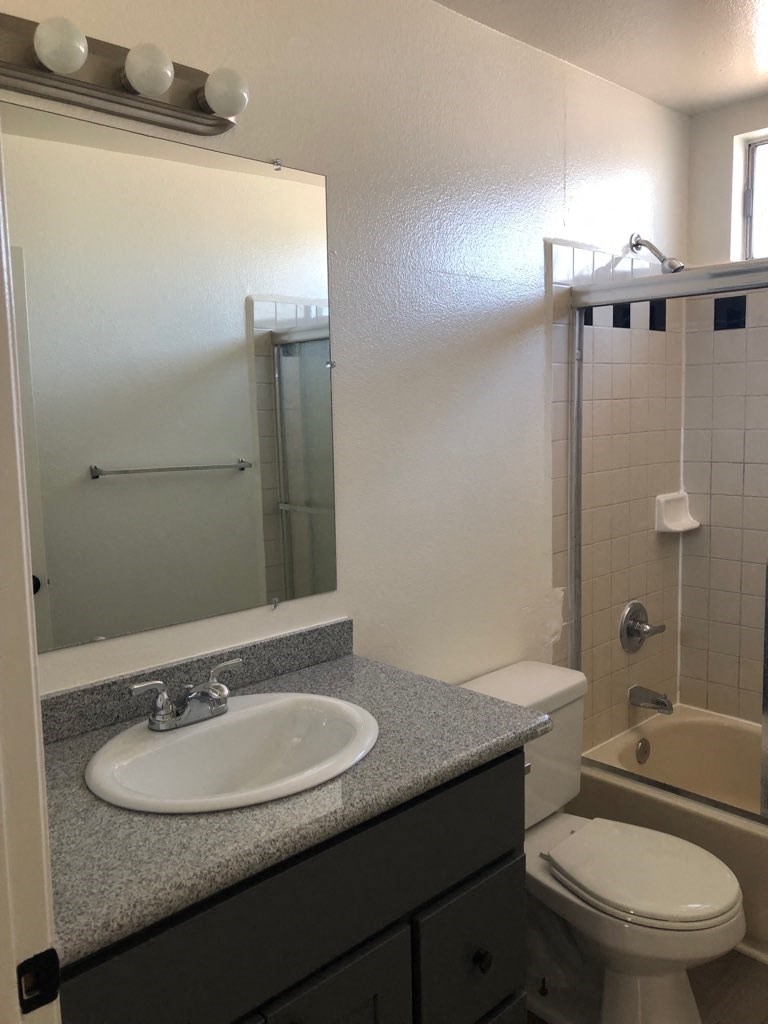 a bathroom with a sink and a toilet and a shower