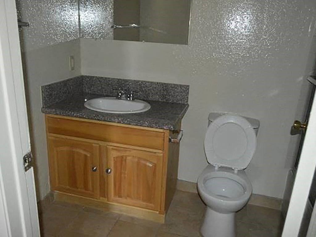 a bathroom with a sink and a toilet