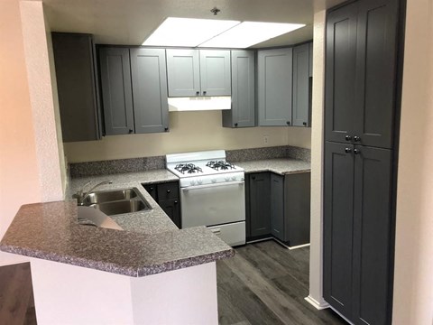 a kitchen with black cabinets and a sink and a stove