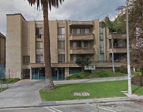 an apartment building with a palm tree in front of it