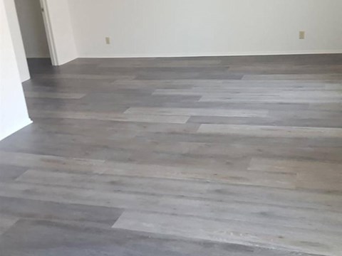 the living room has a hardwood floor and a gray carpet