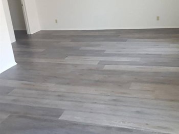 909 Irolo St. 1-2 Beds Apartment for Rent - Photo Gallery 3
