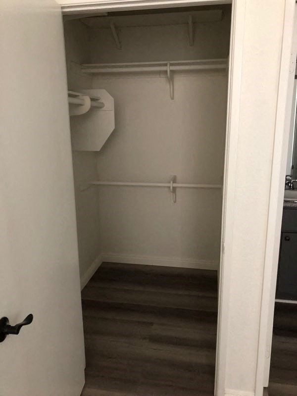 a bathroom with a closet and a toilet in it