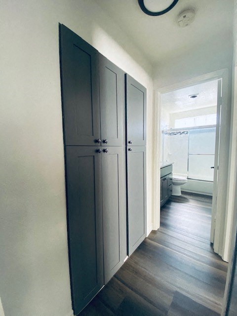a hallway with two closets and a toilet
