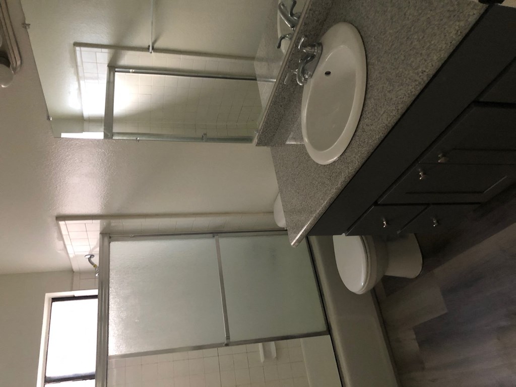 a bathroom with a sink and a mirror and a shower