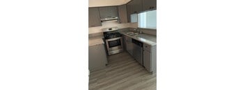 A kitchen with a stove, sink, and dishwasher.
