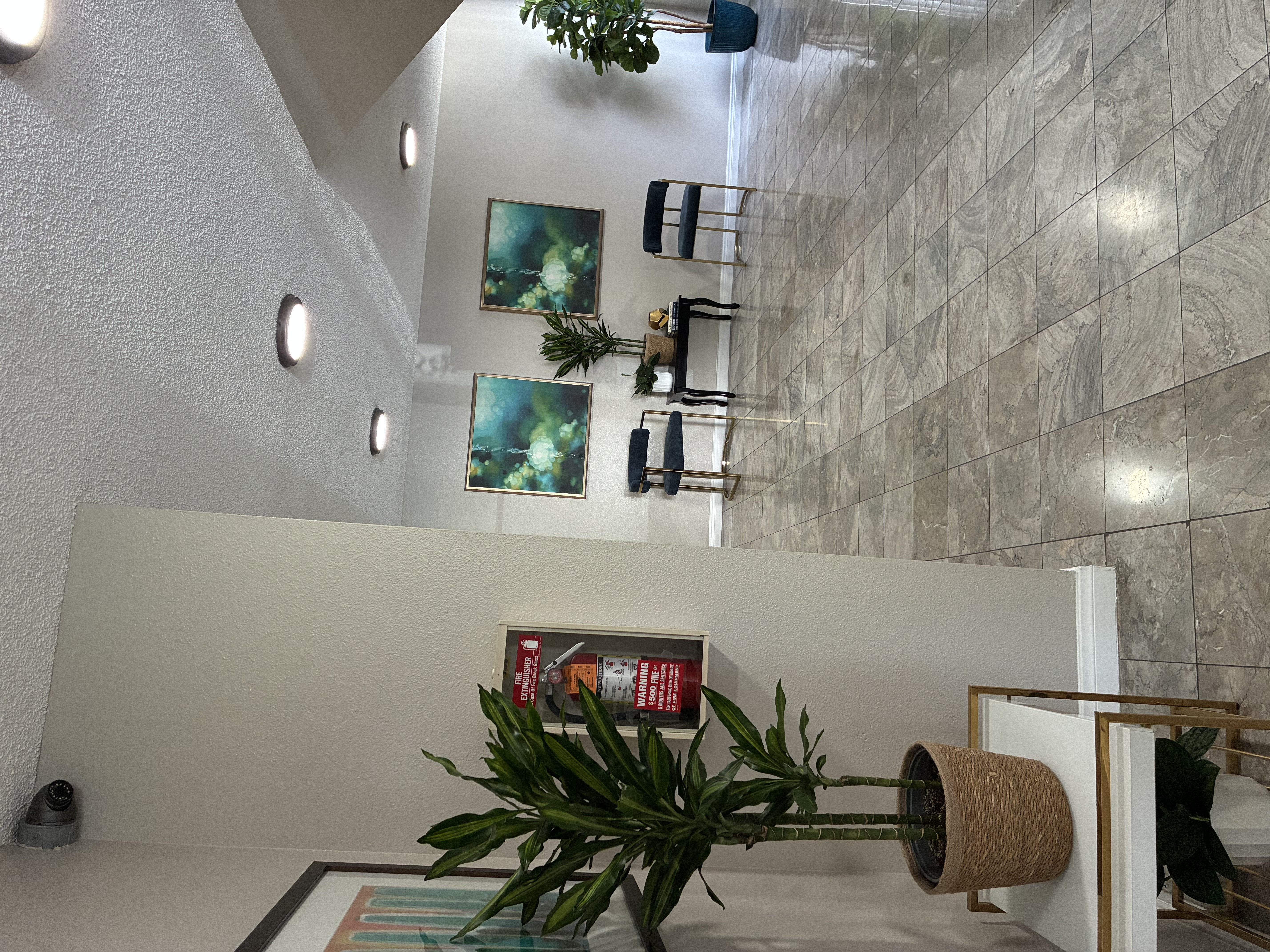 A plant in a pot with a sign on the wall.