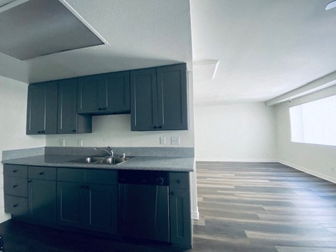 an empty kitchen with blue cabinets and a sink