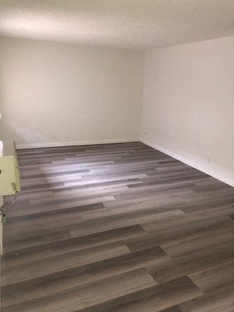 a empty room with a wooden floor in it