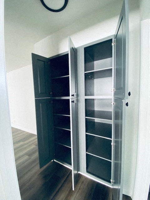 a walk in closet with shelves and a black door
