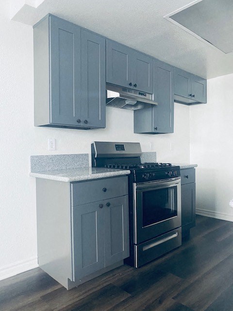 a kitchen with blue cabinets and a stove and