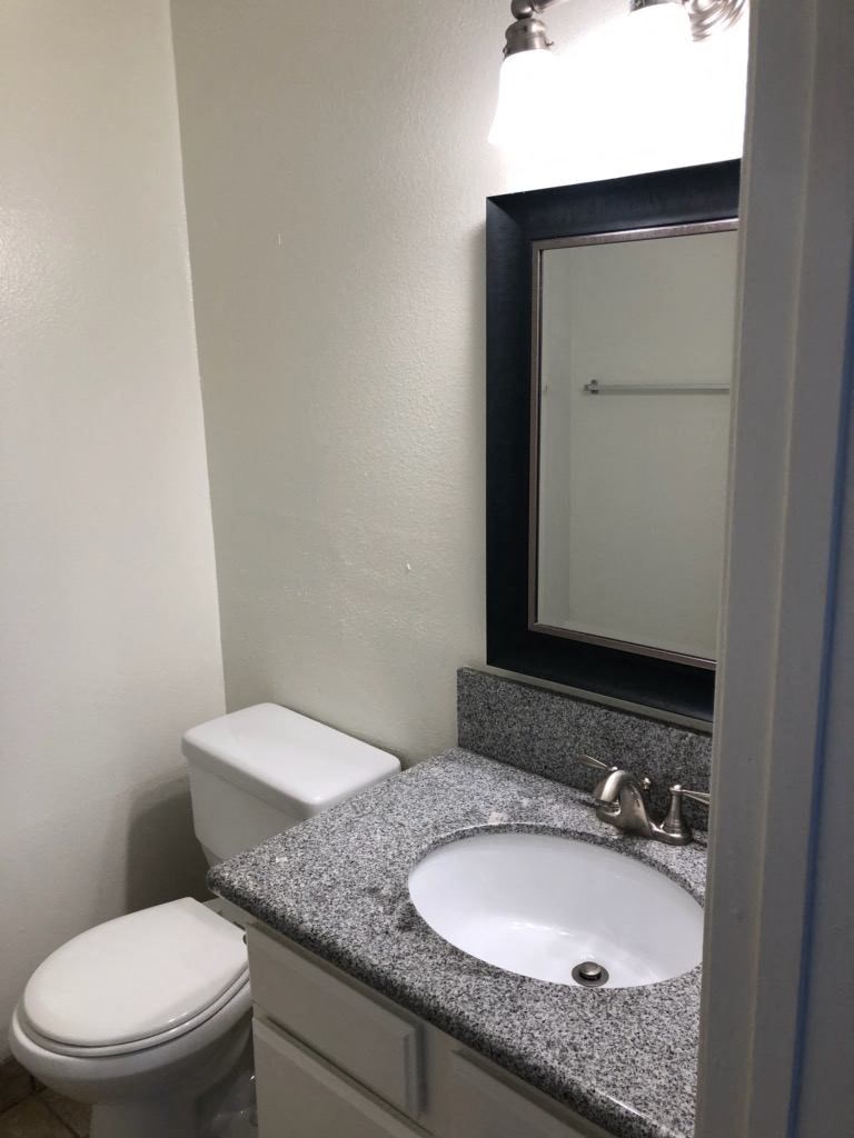 a bathroom with a sink and a toilet and a mirror