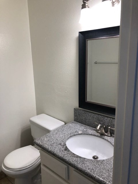 a bathroom with a sink and a toilet and a mirror