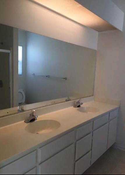 a bathroom with two sinks and a large mirror