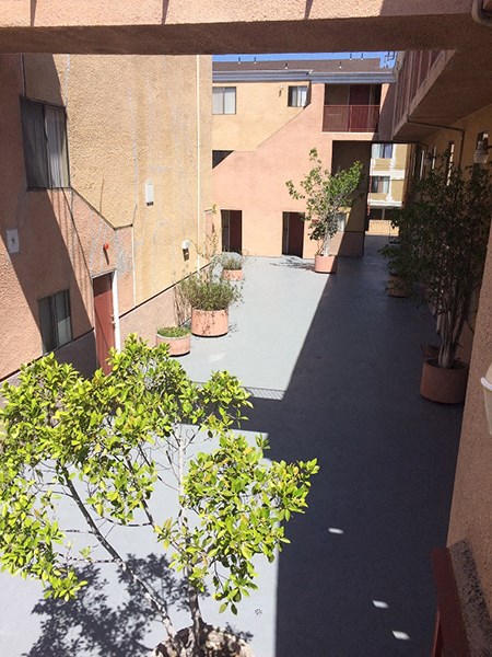 a courtyard with trees and potted plants in an apartment building
