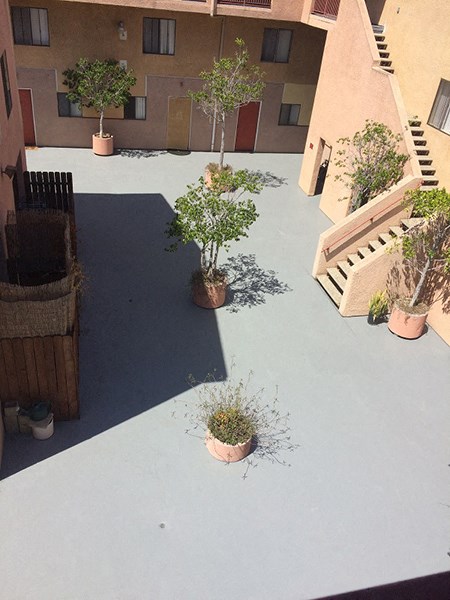 a view of a roof with potted plants on it