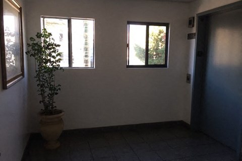 an empty room with two windows and a plant