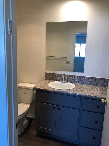 a bathroom with a sink and a toilet