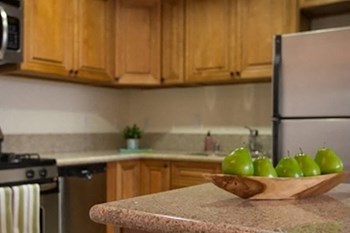 7901 Ventura Canyon 3 Beds Apartment for Rent - Photo Gallery 3