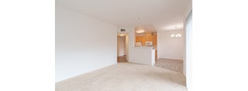 A white room with a carpet and a kitchen area in the background.