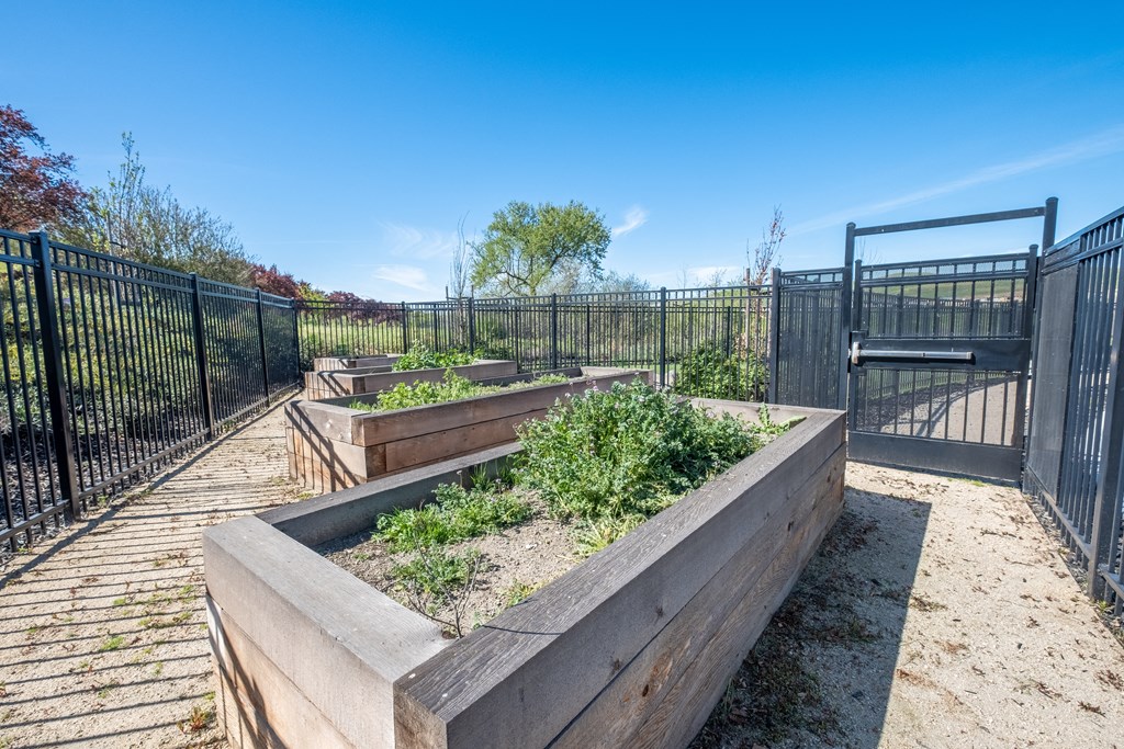 Deer Creek Apartments