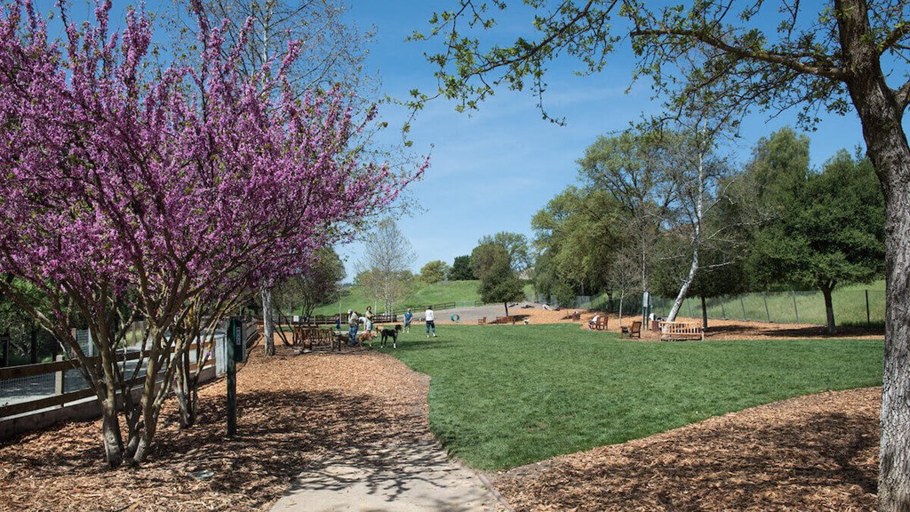 Falcon Bridge At Gale Ranch