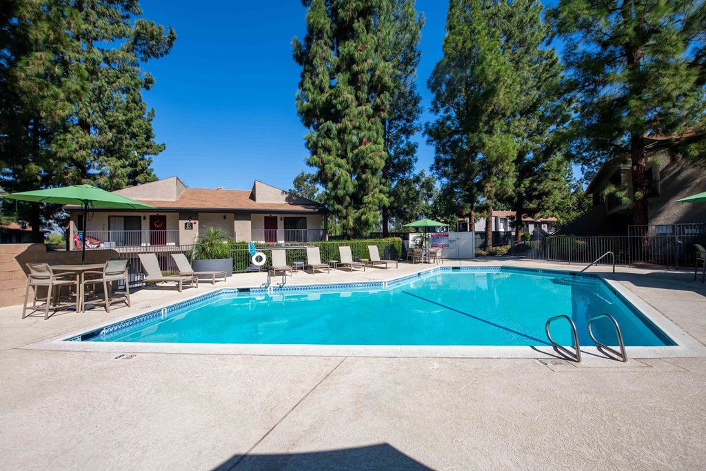 A swimming pool surrounded by trees and chairs.