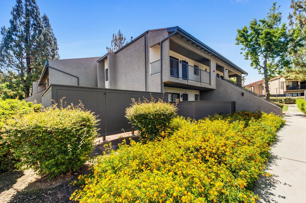 a house with a grey wall and yellow flowers in front of it  at Redlands Park Apts, California, 92373