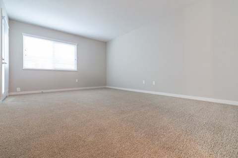 Plush Carpeting at Beverly Plaza Apartments, California