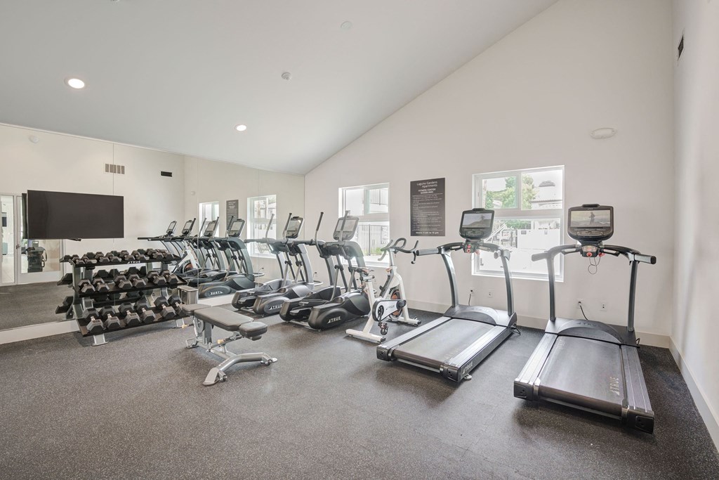 a gym with cardio equipment and a flat screen tv  at Laguna Gardens Apts., Laguna Niguel