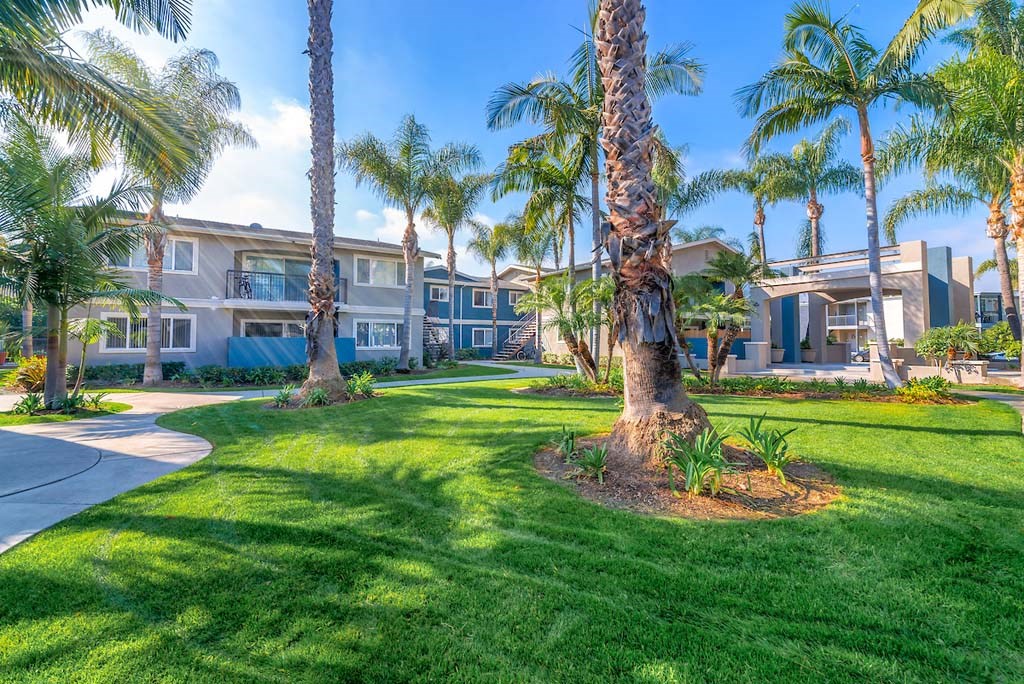 a grassy area with palm trees and buildings in the background at Park Avenue Apartments, Long Beach ,90815