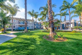 a grassy area with palm trees and buildings in the background at  Park Avenue Apartments, California