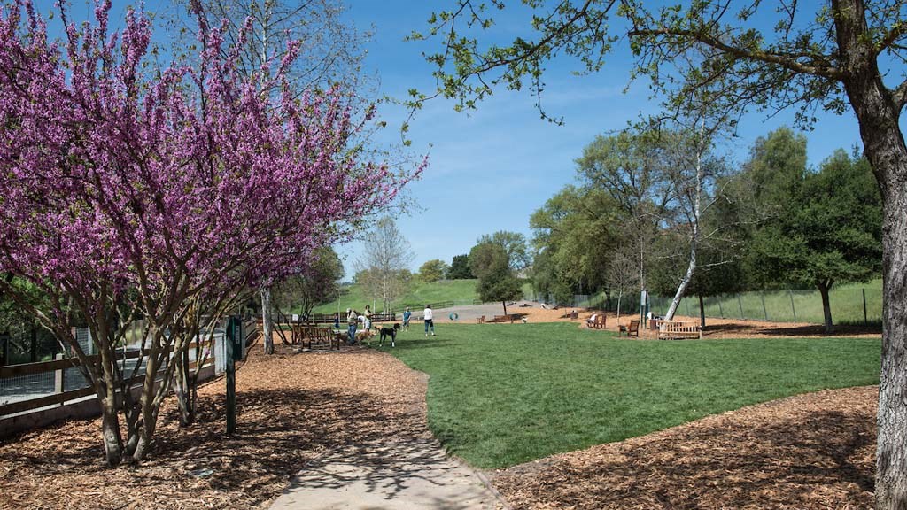 Walk area at Meadow Wood at Alamo Creek, Danville, CA, 94506