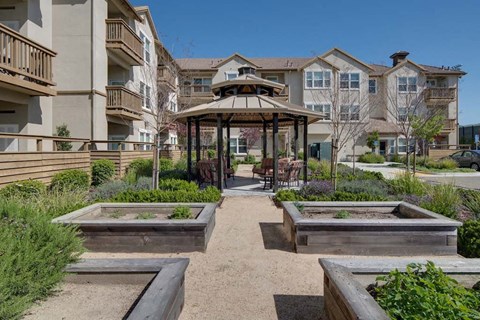Gazebo at Meadow Wood at Alamo Creek, California