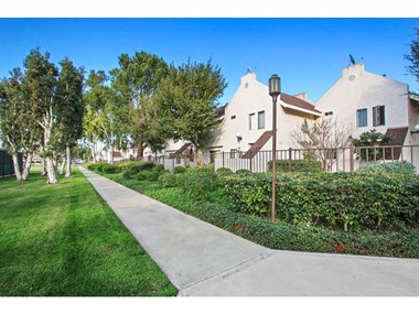 a sidewalk with trees on both sides and houses in the background  at Harvard Manor, Irvine, CA - Photo Gallery 5