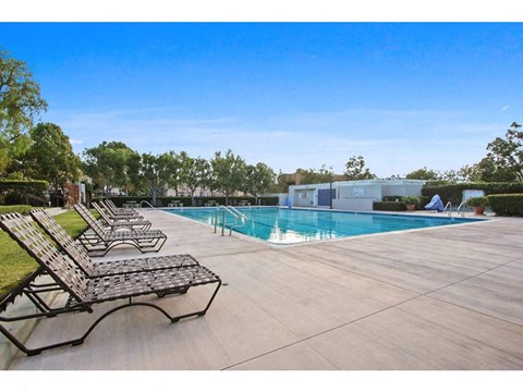 Swimming pool with chaise lounges and trees in the background  at Harvard Manor, Irvine, California