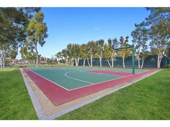 the basketball court is located in the middle of the park at Harvard Manor, Irvine, 92612