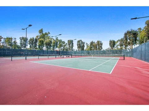 Tennis court with lights and trees in the background  at Harvard Manor, Irvine, CA, 92612