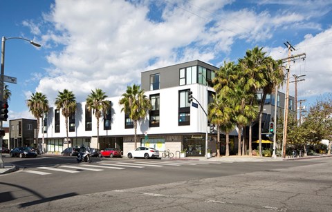 A modern building with a white facade and palm trees in front.