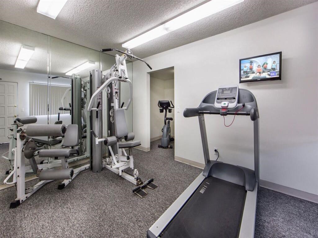 our apartments have a gym with plenty of equipment