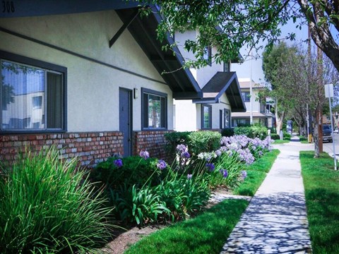 a sidewalk in front of a building with flowers and grass