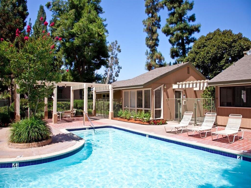a swimming pool with lounge chairs and trees in the background