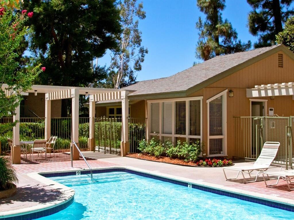 our apartments in a city have a swimming pool