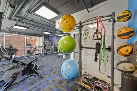 A gym with a blue wall and a green ball hanging from the ceiling.