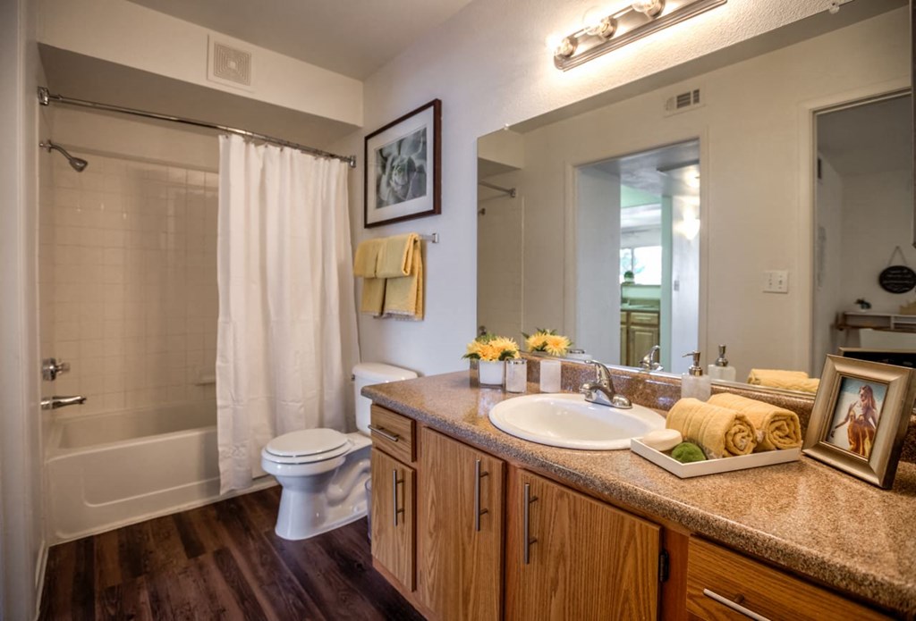a bathroom with a sink and a toilet and a shower at Bella Terra Apartments, Nevada, 89012