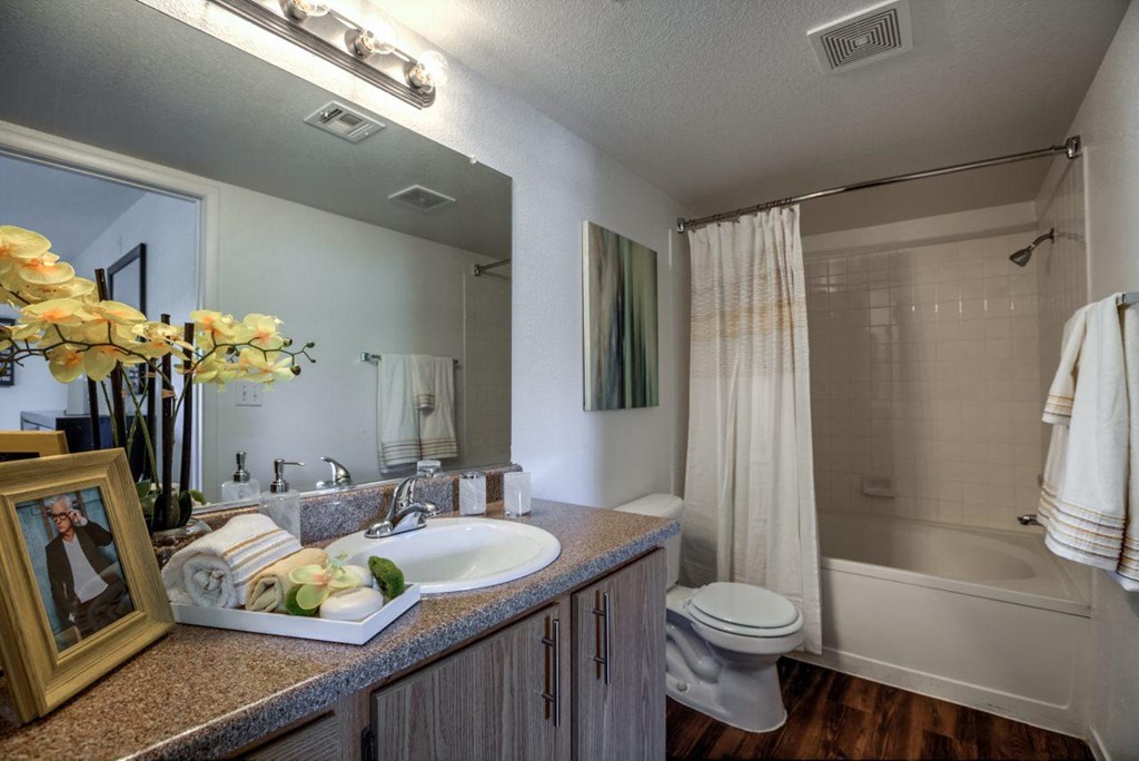 a bathroom with a sink and a shower and a toilet at Bella Terra Apartments, Nevada, 89012
